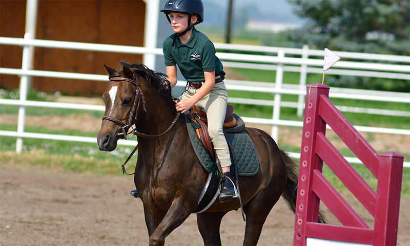 Horse riding
